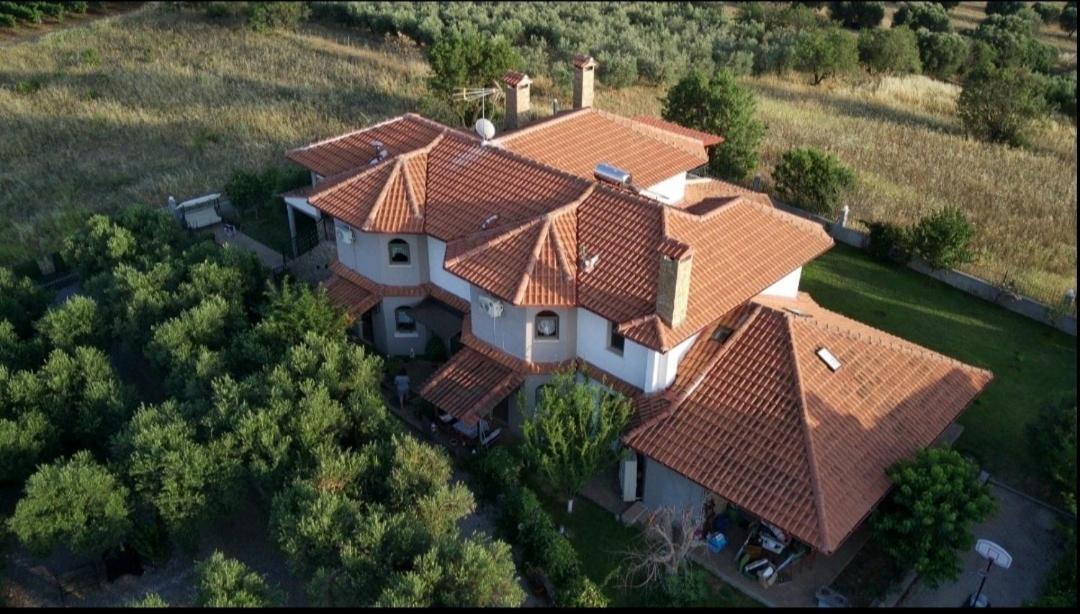 Alice Wonderland Home Nea Flogita Halkidiki Exteriör bild