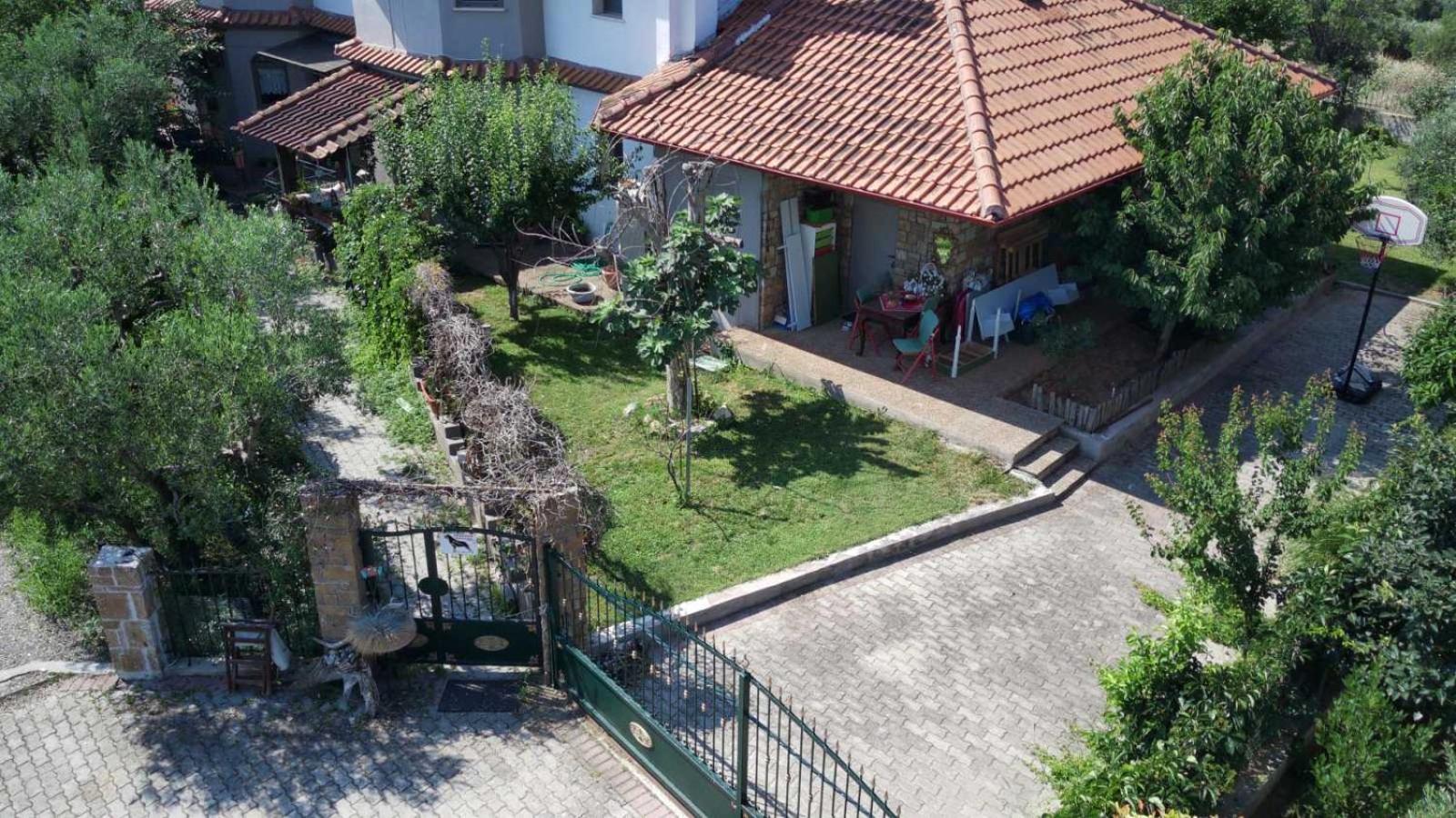 Alice Wonderland Home Nea Flogita Halkidiki Exteriör bild