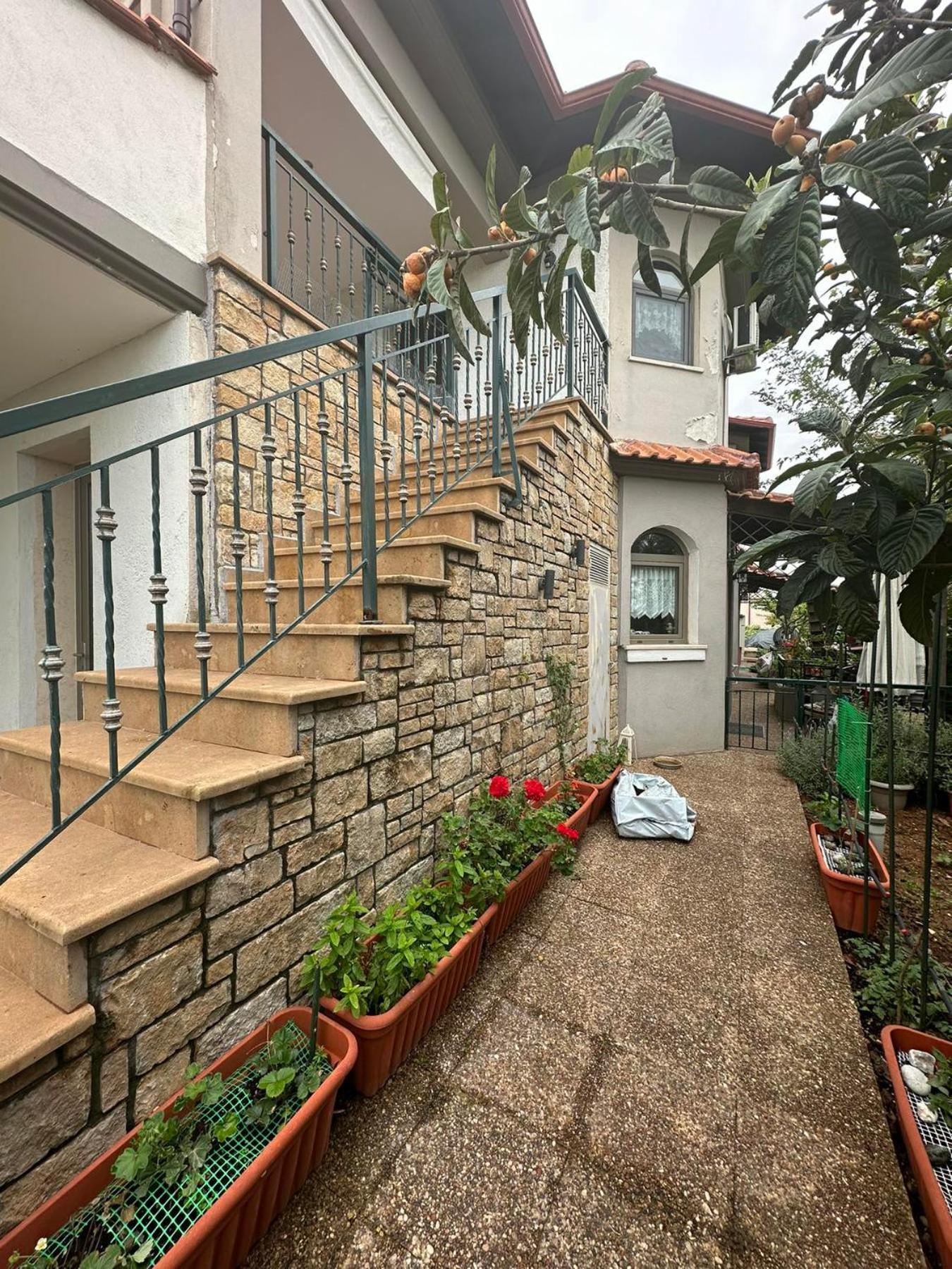 Alice Wonderland Home Nea Flogita Halkidiki Exteriör bild