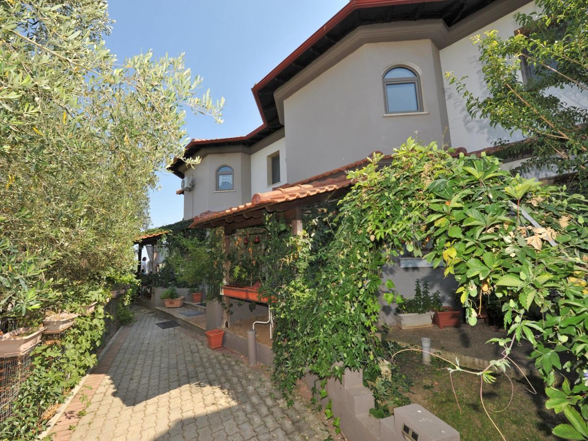 Alice Wonderland Home Nea Flogita Halkidiki Exteriör bild