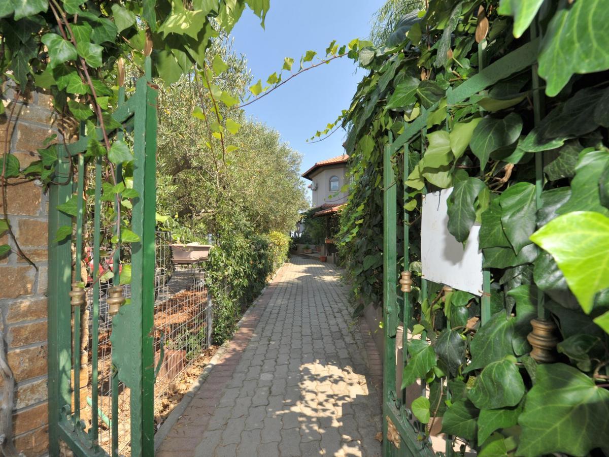 Alice Wonderland Home Nea Flogita Halkidiki Exteriör bild